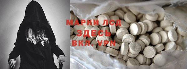 дмт Алзамай