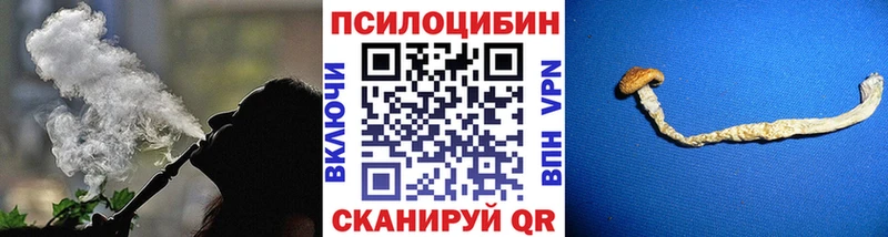 где купить наркотик  Кола  Галлюциногенные грибы Psilocybe 