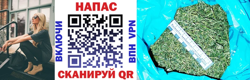 Конопля SATIVA & INDICA  купить наркотики сайты  Кола 